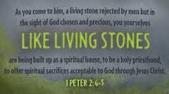 living stones text
