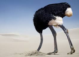 ostrich sand