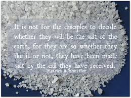 salt-disciples