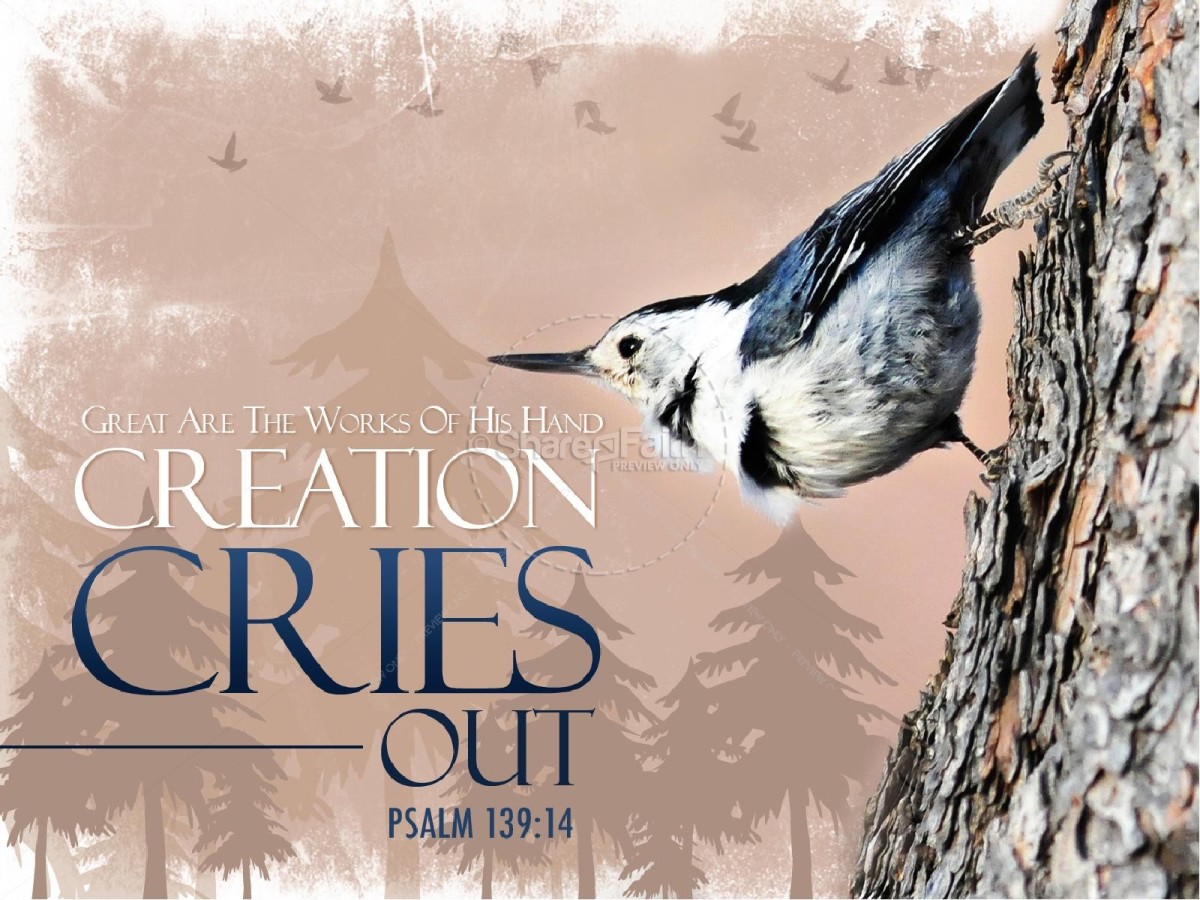 Creation testifies of Creator!